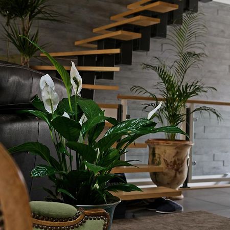 Superbe Appartement Au Coeur Du Jura ชอมปาญโญล ภายนอก รูปภาพ