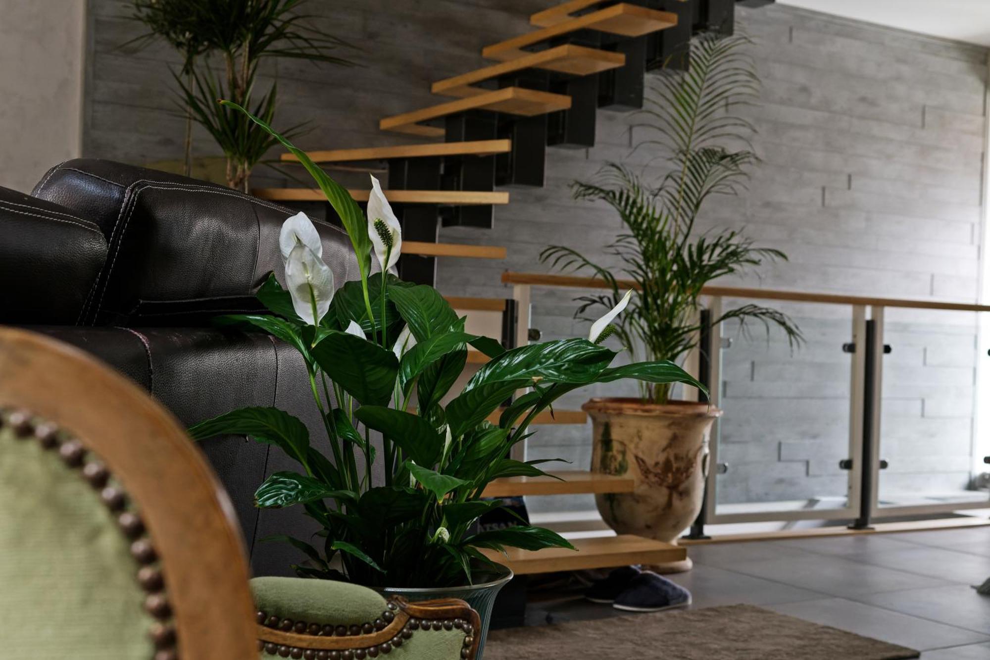 Superbe Appartement Au Coeur Du Jura ชอมปาญโญล ภายนอก รูปภาพ