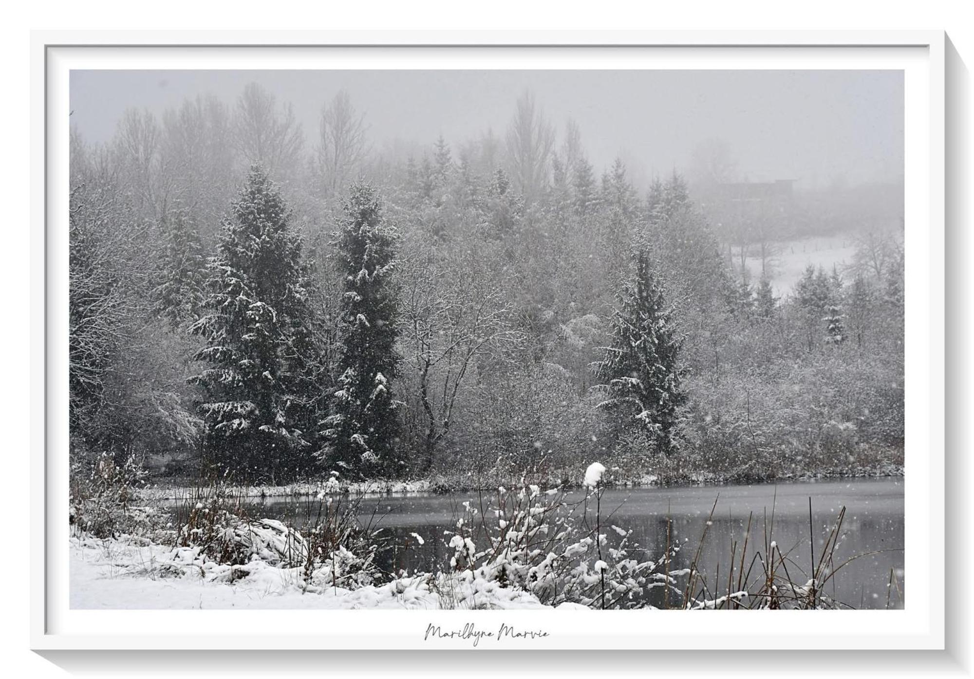 Superbe Appartement Au Coeur Du Jura ชอมปาญโญล ภายนอก รูปภาพ